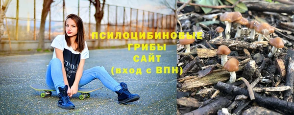 первитин Мегион