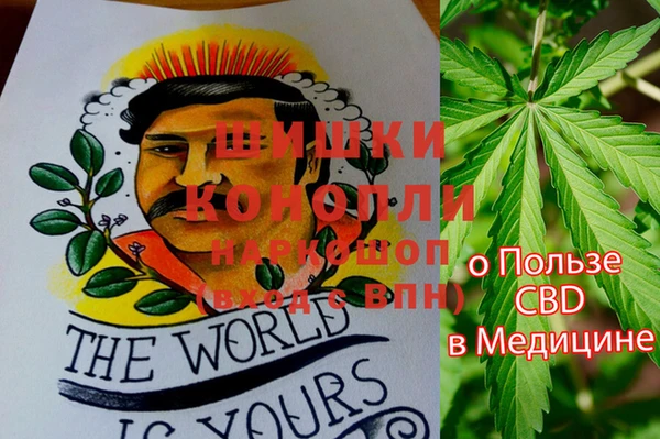 метадон Медвежьегорск
